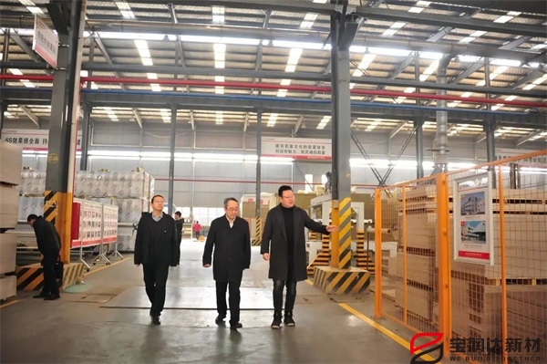 懷寧縣書記余學峰一行蒞臨寶潤達參觀交流